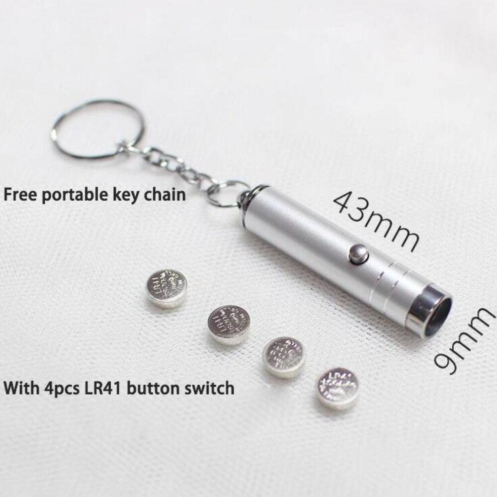 NEW Mini UV Light Keychain